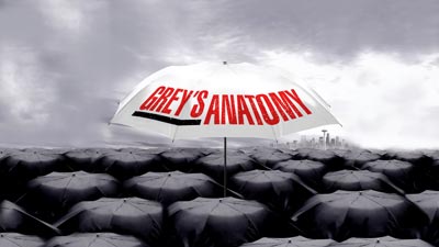 Анатомия страсти 21 сезон